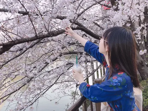 金村 美玖｜儚い季節。（2019-04-08）｜2枚目