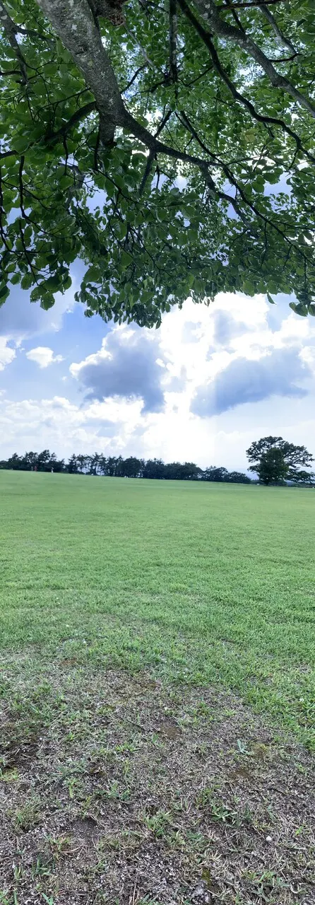 平尾 帆夏｜砂丘の中からコンニチハ（2023-08-13）｜3枚目