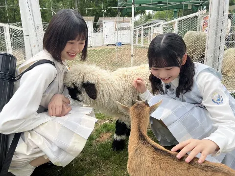 藤嶌 果歩｜高揚感は続く（2024-06-27）｜3枚目