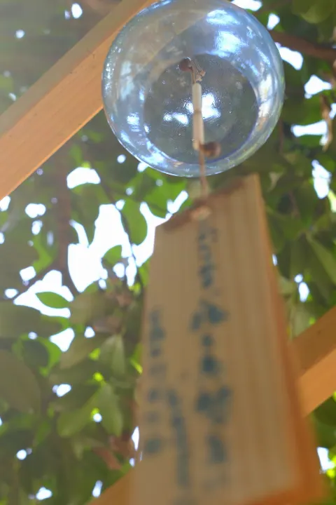正源司 陽子｜伝えたいことがたくさんある正源司　陽子（2024-08-09）｜5枚目