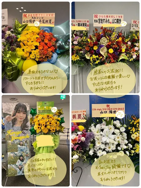 山口 陽世｜( ¨̮ )>≡ひなた坂46LIVE（2024-10-28）｜13枚目