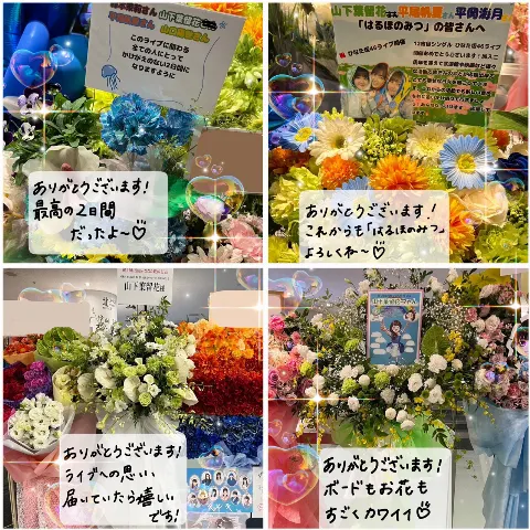 山下 葉留花｜はるはる日記🌱 - ひなた坂 LIVE -（2024-11-09）｜15枚目