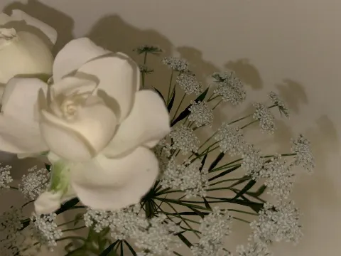 山下 葉留花｜はるはる日記🌱 - 愛知県・#余計な事まで -（2025-01-12）｜8枚目