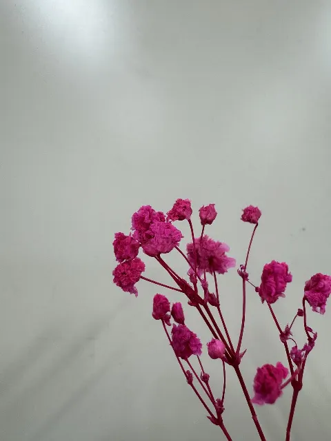 山下 葉留花｜はるはる日記🌱 - 五等分の花嫁 -（2025-03-29）｜6枚目