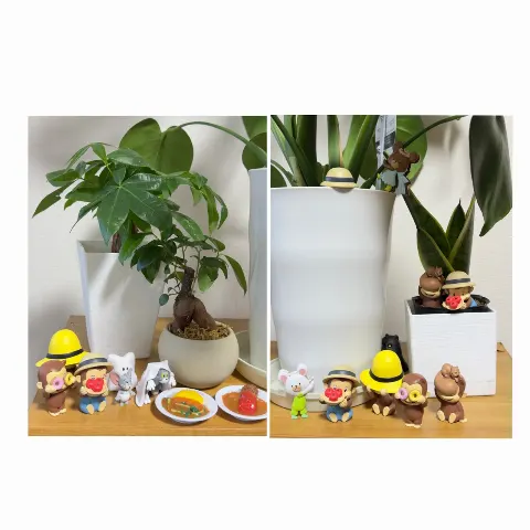 山下 葉留花｜はるはる日記🌱 - プライベートなわたし -（2025-06-27）｜8枚目