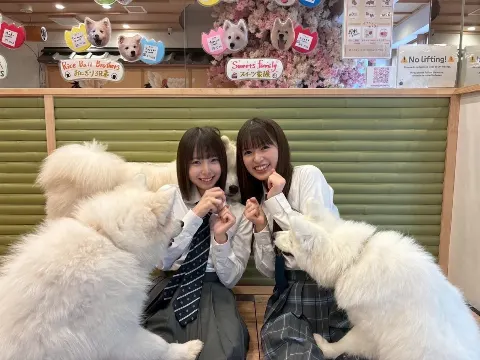 渡辺 莉奈｜彩り（2025-06-27）｜3枚目