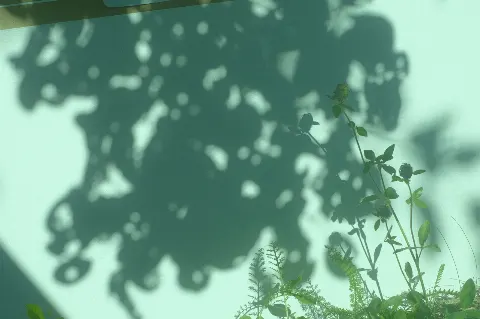 正源司 陽子｜I have a story to tell. Yoko Shogenji すみませんふざけました。正源司　陽子（2025-09-13）｜4枚目