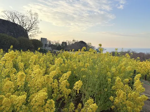鶴崎 仁香｜気持ちは無限大。#にこにこぶろぐ（2025-10-09）｜5枚目