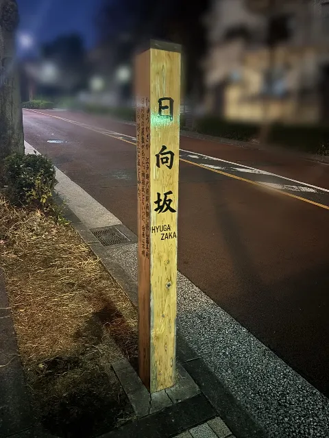 大野 愛実｜タイトルが決まらないので、電信柱になりたい、とでも書いておく（2025-11-17）｜5枚目