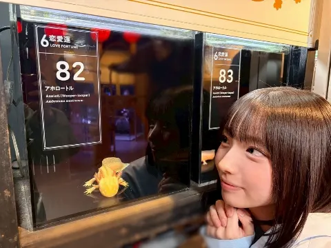 大野 愛実｜大野愛実だけが知ってる（2026-04-03）｜4枚目