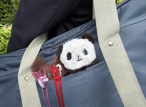 小坂 菜緒｜春の風が気持ちよくて、春ソングを聴きながら街を歩いちゃって、…（2026-04-03）｜7枚目