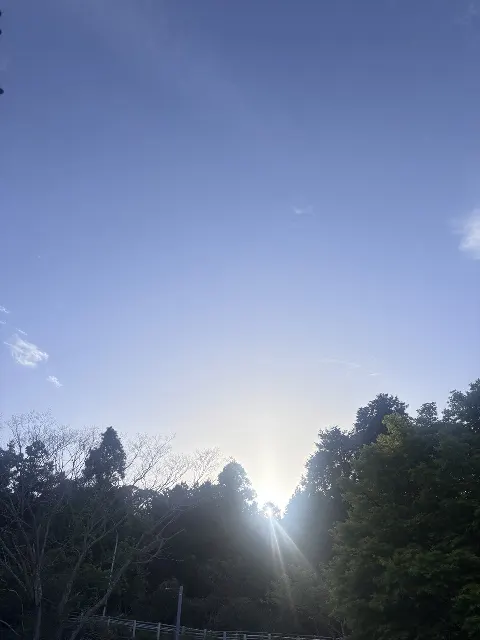 大野 愛実｜星が綺麗ですね（2026-04-23）｜6枚目