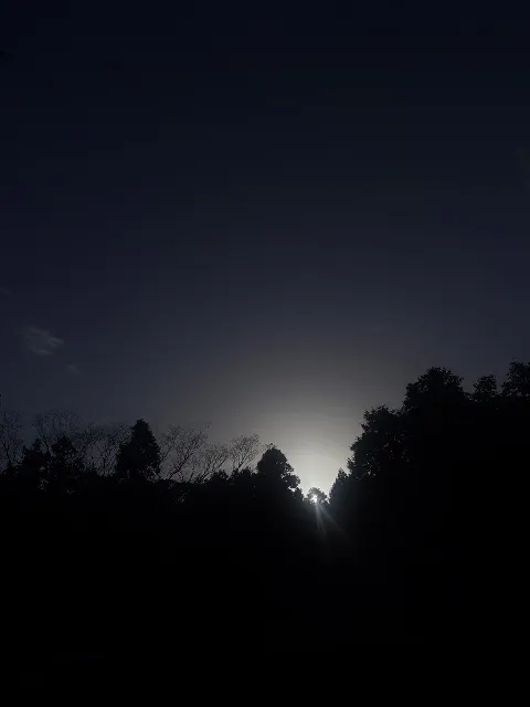大野 愛実｜星が綺麗ですね（2026-04-23）｜7枚目