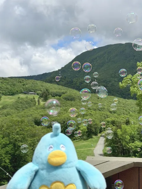 ポカ｜りなし供給（2026-07-28）｜7枚目