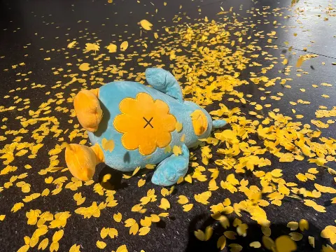 ポカ｜ことしのなつはことししかない（2026-09-13）｜8枚目