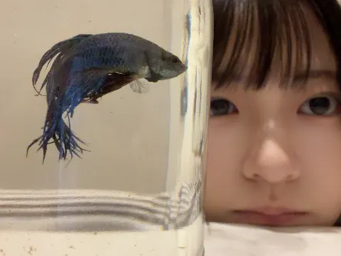 正源司 陽子｜あの子の靴が濡れて乾いて、また、濡れる。正源司　陽子（2026-09-30）｜6枚目