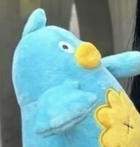 ポカ｜きどあいらくいえーい（2026-10-04）｜5枚目