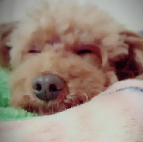 濱岸 ひより｜あけましておめでとうございます 濱岸ひより（2018-01-02）｜3枚目
