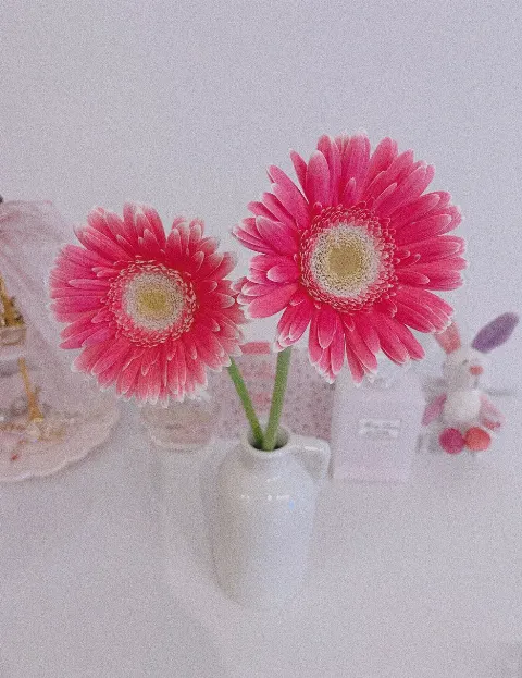 東村 芽依｜🌷（2020-06-28）｜2枚目