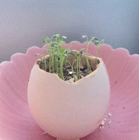 東村 芽依｜🌱（2020-06-17）｜2枚目