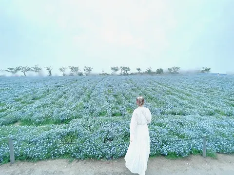 東村 芽依｜💠（2022-04-28）｜2枚目