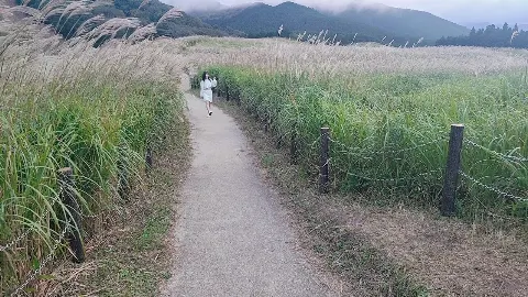 東村 芽依｜🐕（2022-07-27）｜6枚目