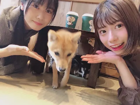 東村 芽依｜12月3日（2024-12-03）｜3枚目