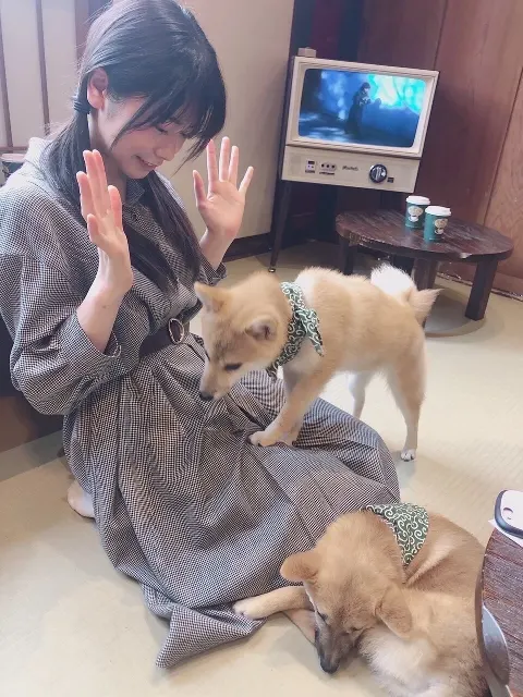 東村 芽依｜12月3日（2024-12-03）｜2枚目