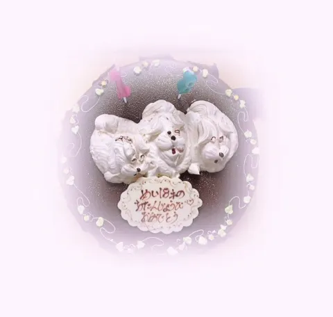 東村 芽依｜お誕生日...13（2016-08-26）｜3枚目