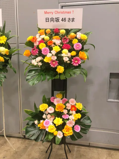 東村 芽依｜💐（2019-12-27）｜6枚目