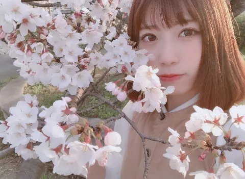 東村 芽依｜🌸さくら🌸（2019-04-07）｜7枚目
