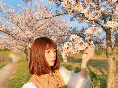 東村 芽依｜🌸さくら🌸（2019-04-07）