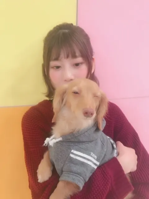 東村 芽依｜わん🐶（2019-02-21）｜4枚目
