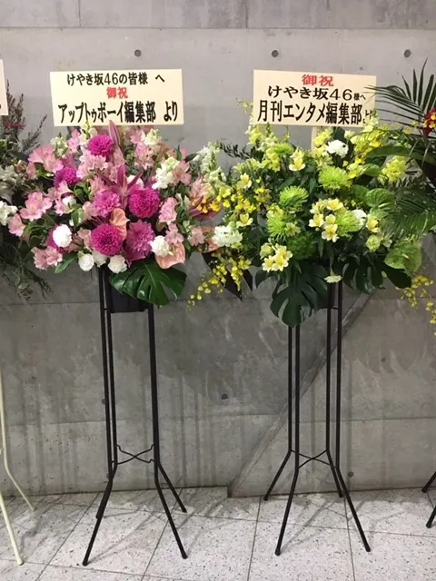 井口 眞緒｜お花（2017-12-16）｜15枚目