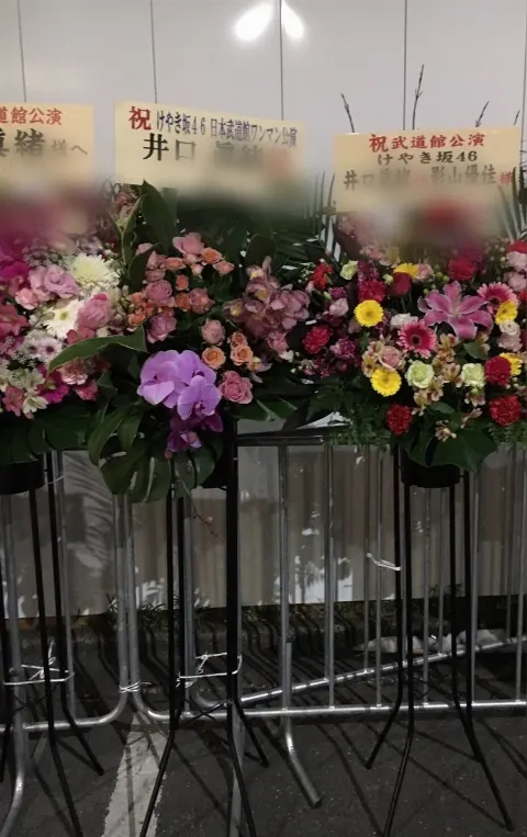 井口 眞緒｜武道館お花（2018-02-05）｜5枚目