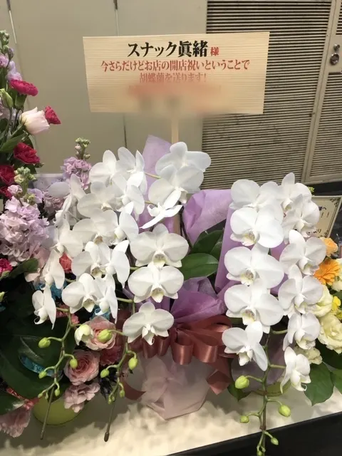 井口 眞緒｜お花💐（2018-12-07）｜10枚目