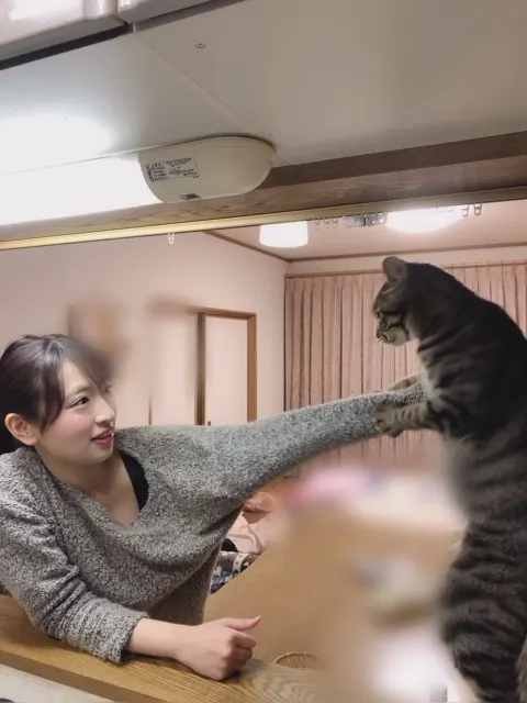 井口 眞緒｜愛猫のこたまくんです（2019-01-05）｜5枚目