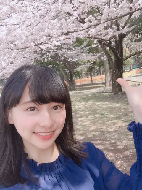 影山 優佳｜さくらさくら。562。（2018-04-06）｜3枚目