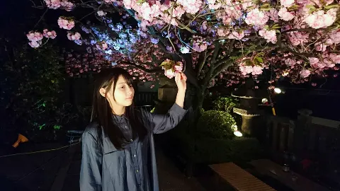 柿崎 芽実｜夜桜（2017-04-19）｜3枚目