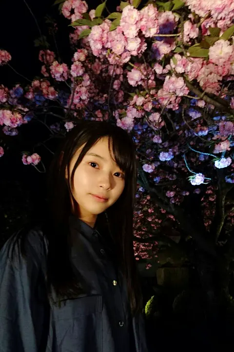 柿崎 芽実｜夜桜（2017-04-19）｜4枚目