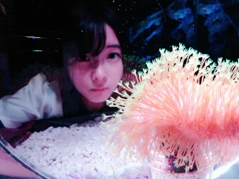 柿崎 芽実｜ウミウシちゃん（2017-04-25）｜5枚目