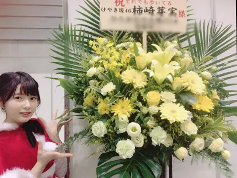 柿崎 芽実｜（無題）（2017-11-22）｜8枚目