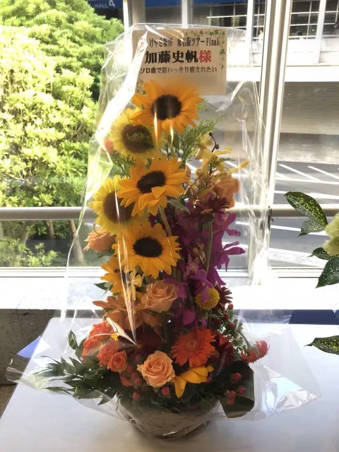 加藤 史帆｜㊗️初単独出演！そして本日からあの応募が、、(・ω・)！！（2018-07-12）｜8枚目