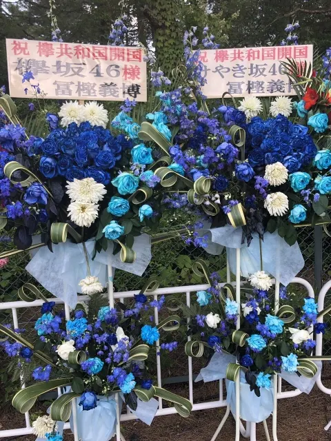 加藤 史帆｜ファイティン(・ω・)（2018-07-23）｜6枚目