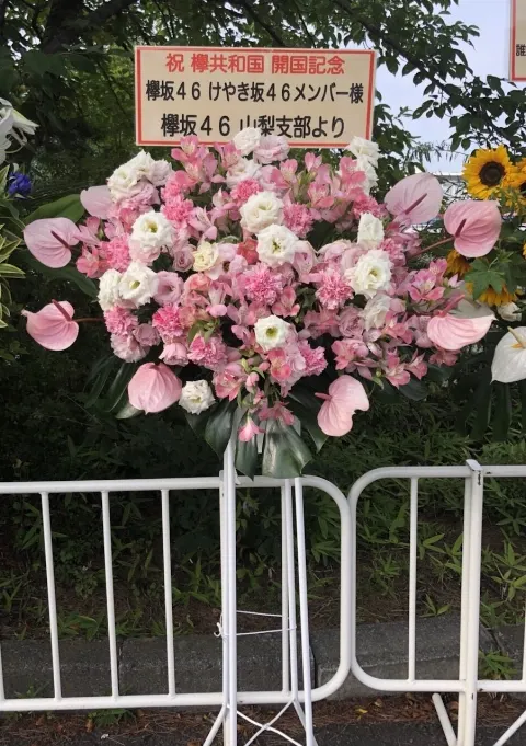 加藤 史帆｜ファイティン(・ω・)（2018-07-23）｜7枚目