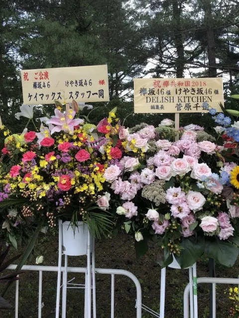 加藤 史帆｜ファイティン(・ω・)（2018-07-23）｜8枚目
