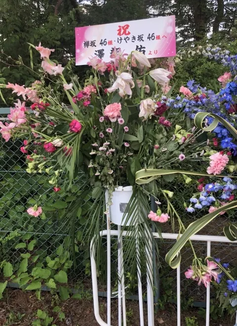 加藤 史帆｜ファイティン(・ω・)（2018-07-23）｜9枚目