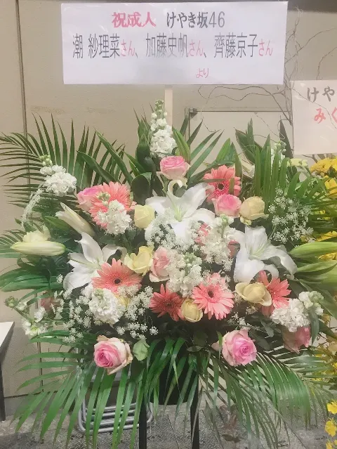 加藤 史帆｜我の相方はにぶた( ・ω・)（2018-01-13）｜7枚目