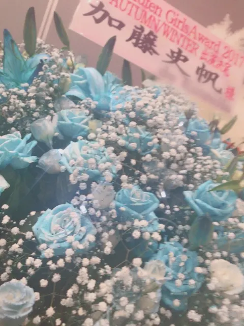加藤 史帆｜握手会(・ω・)（2017-09-12）｜11枚目