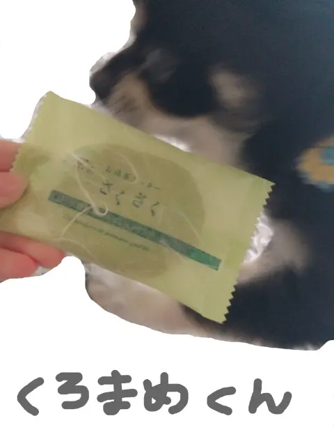 加藤 史帆｜すごいこと( ・ω・)（2017-10-11）｜2枚目
